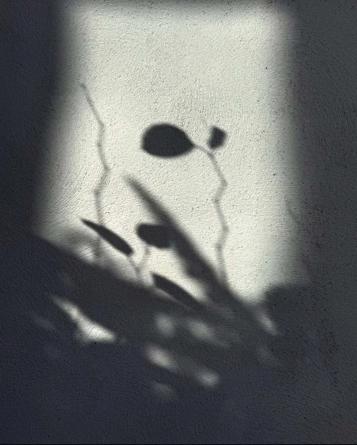 Soft Shadows, Strong Roots: Finding Resilience in the Quiet Moments